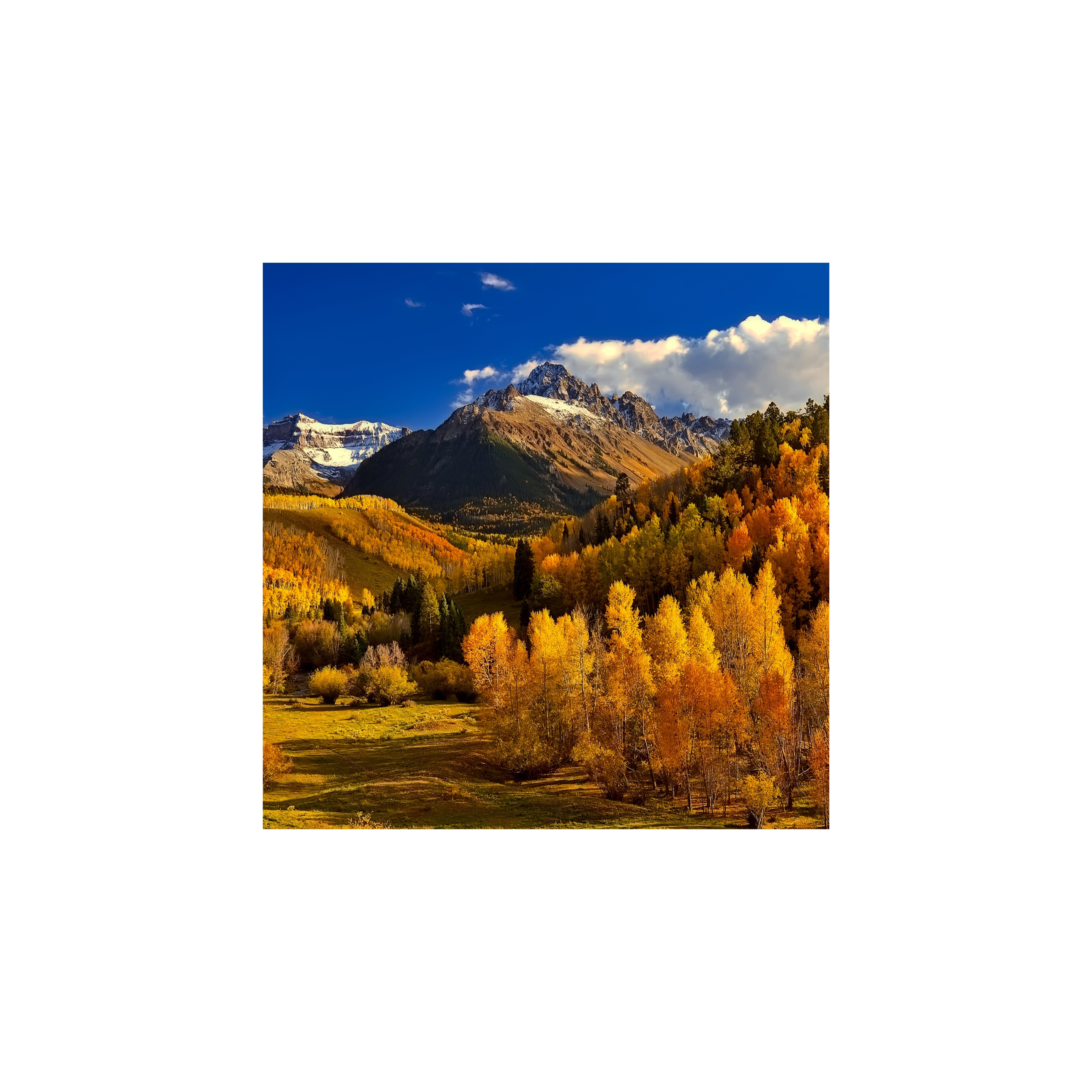 Skea's Guide: Leaf Peeping
